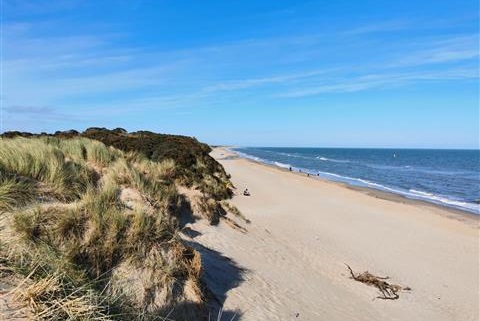 A sandy beach with gentle dunes, a clear blue sky, and a few people walking along the shoreline